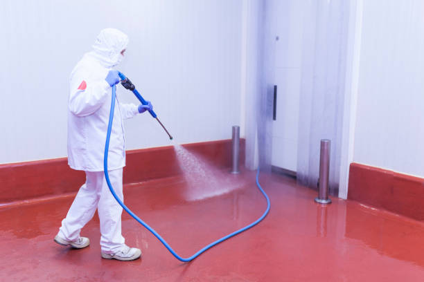  Vilge St George, LA Pressure Washing Pros